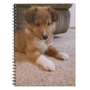 sheltie puppy notebook