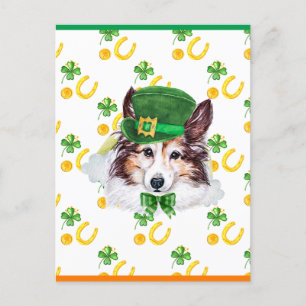 Sheltie Shamrock St. Patricks Day Holiday Postcard