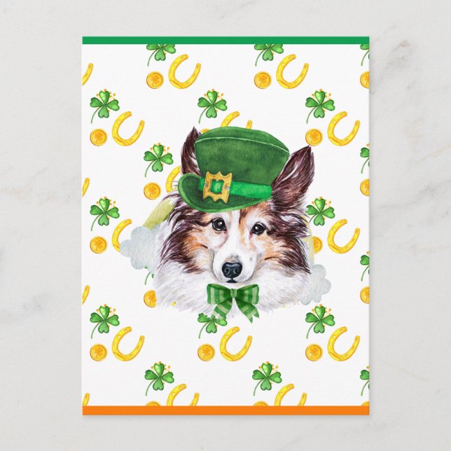 Sheltie Shamrock St. Patricks Day Holiday Postcard (Front)