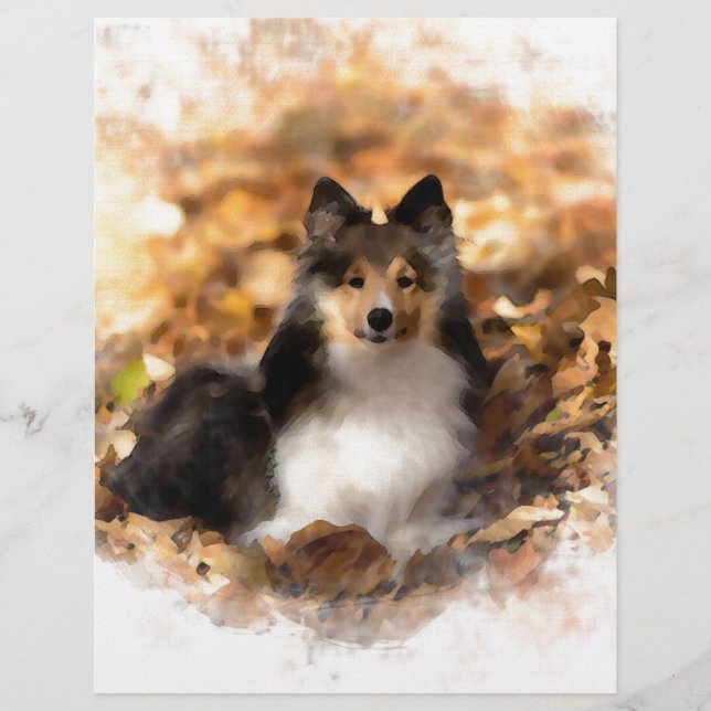 Sheltie Shetland Sheepdog Art Painting (Front)