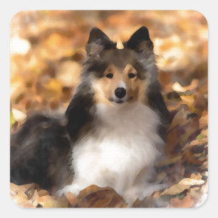 Sheltie Shetland Sheepdog Art Painting Square Sticker