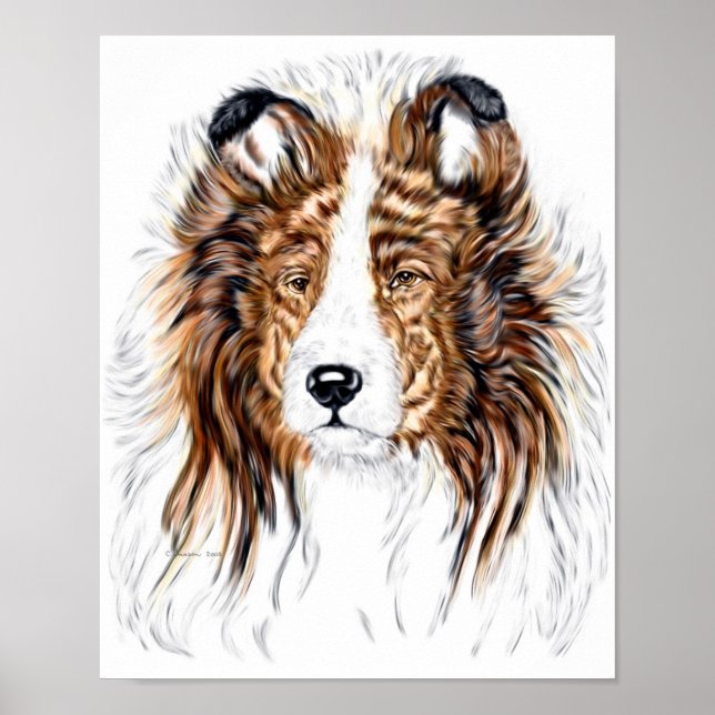 Sheltie Shetland Sheepdog Bust Poster (Front)