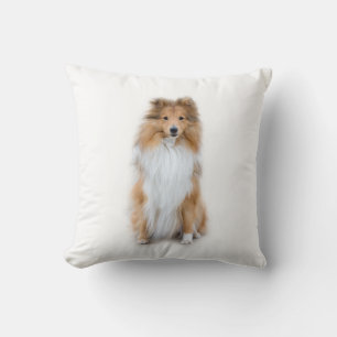 Sheltie Shetland Sheepdog Pillow