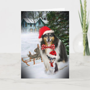 Sheltie Sledding with Rabbits Holiday Card