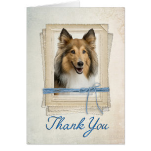 Sheltie Thank You Card