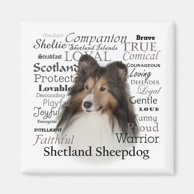Sheltie Traits Magnet (Front)