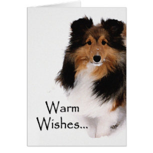 Sheltie Warm Wishes