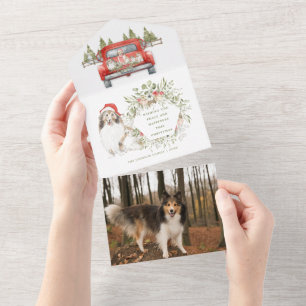 Shelties in Vintage Red Truck Photo Christmas Card