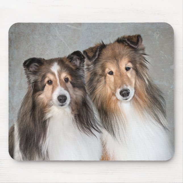 Shelties Mouse Pad (Front)