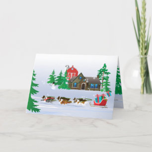 Shelties Pulling Sleigh, Folded Holiday Christmas Card