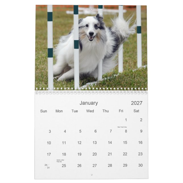 Shelties & Weaves Agility Calendar (Jan 2027)