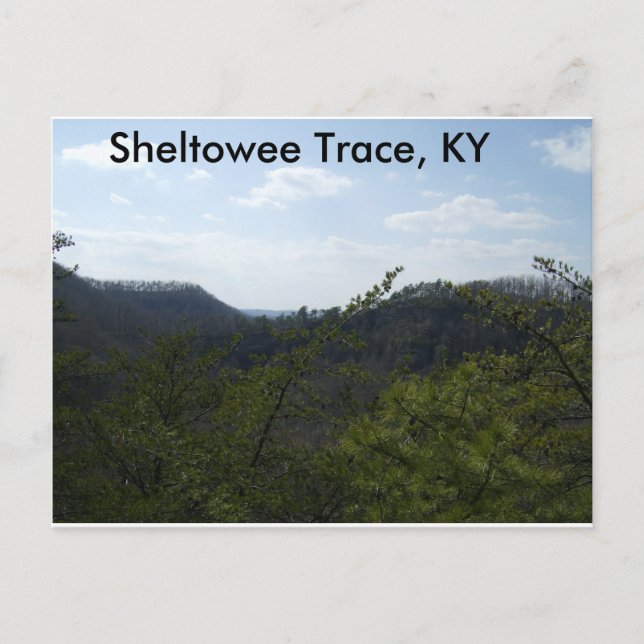 Sheltowee Trace Postcard (Front)