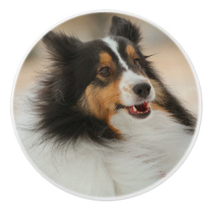 Shelty Ceramic Knob