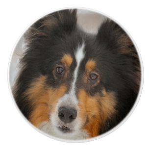 Shelty Ceramic Knob