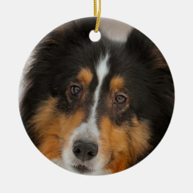 Shelty Ceramic Ornament (Front)