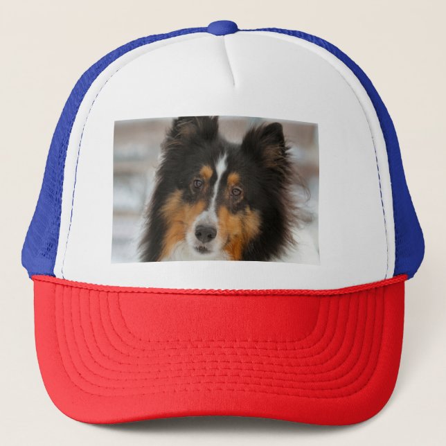 Shelty Trucker Hat (Front)