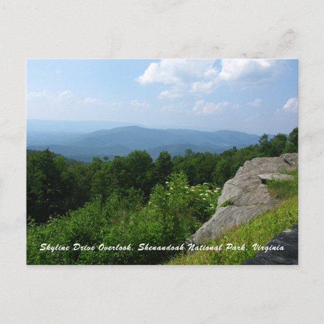 Shenandoah National Park Skyline Drive Scenic Postcard (Front)