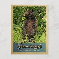 Shenandoah National Park Vintage Bear