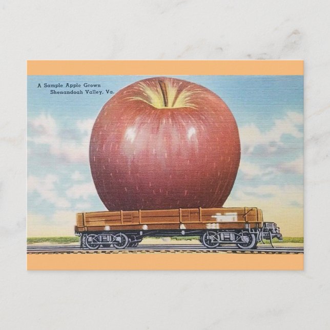 Shenandoah Valley, Virginia Giant Apple Postcard (Front)