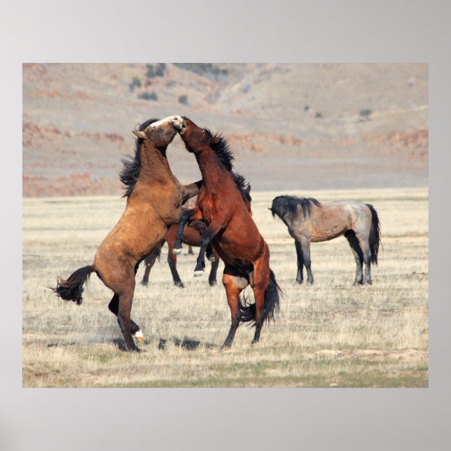 Shenanigans Poster (Front)