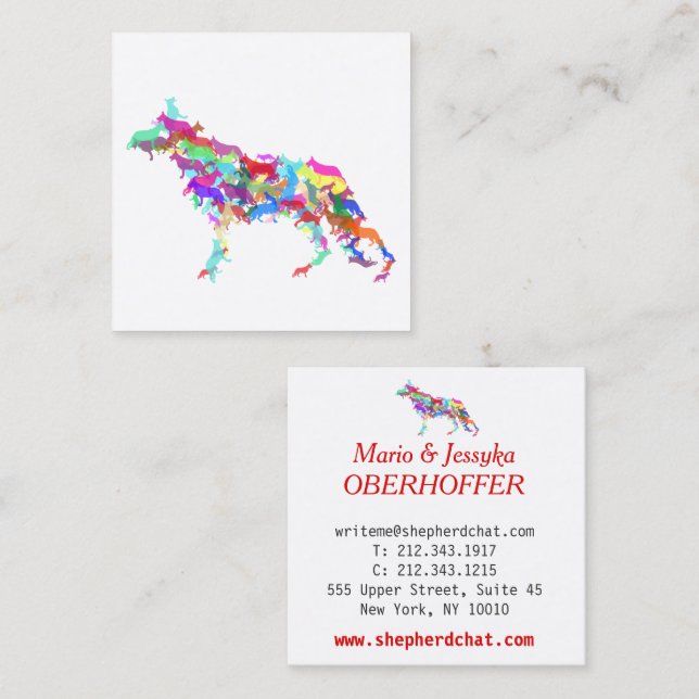 Shepherd Dog colourful  Square Business Card (Front/Back)