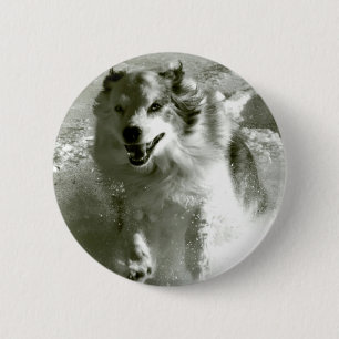 Shepherd Dog Running In Snow, 6 Cm Round Badge