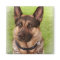 Shepherd Dog Square Magnet