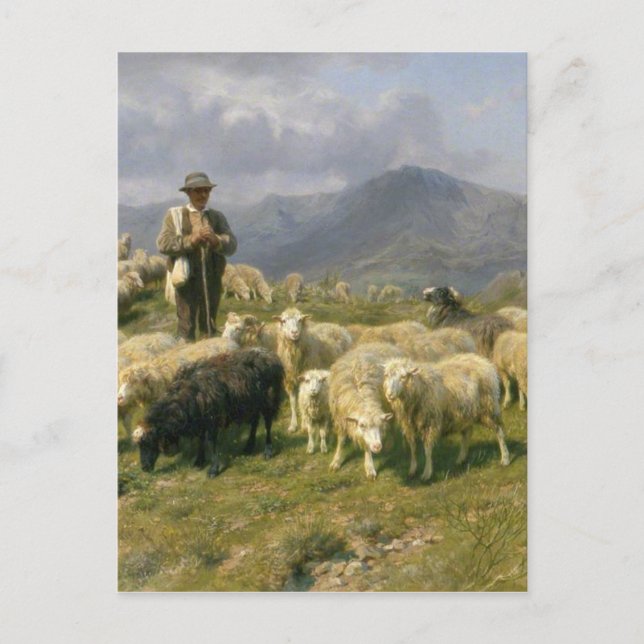 Shepherd of the Pyrenees by Rosa Bonheur Postcard (Front)