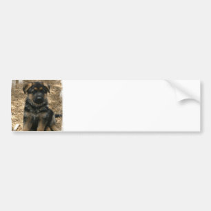 Shepherd Puppy  Bumper Sticker