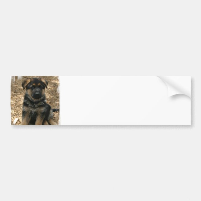 Shepherd Puppy  Bumper Sticker (Front)