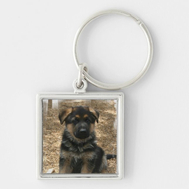 Shepherd Puppy Keychain (Front)