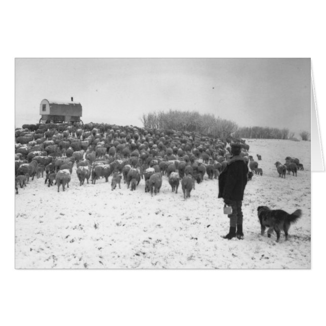 Shepherd with Flock (Front Horizontal)