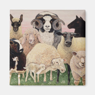 Shepherds Delight Magnet