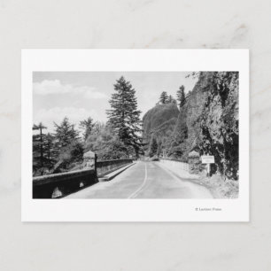 Shepherd's Dell on Columbia River Photograph 2 Postcard