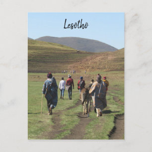 shepherds lesotho postcard