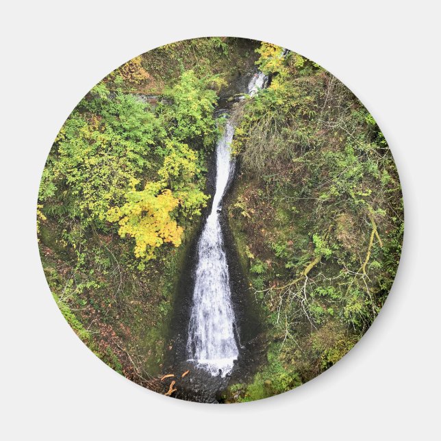 Shepperd's Dell Falls, Columbia River Gorge, OR Magnet (Front)