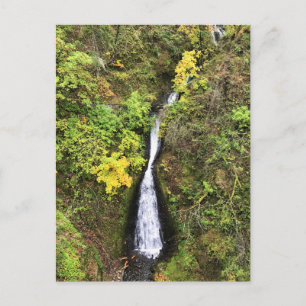 Shepperd's Dell Falls, Columbia River Gorge, OR Postcard
