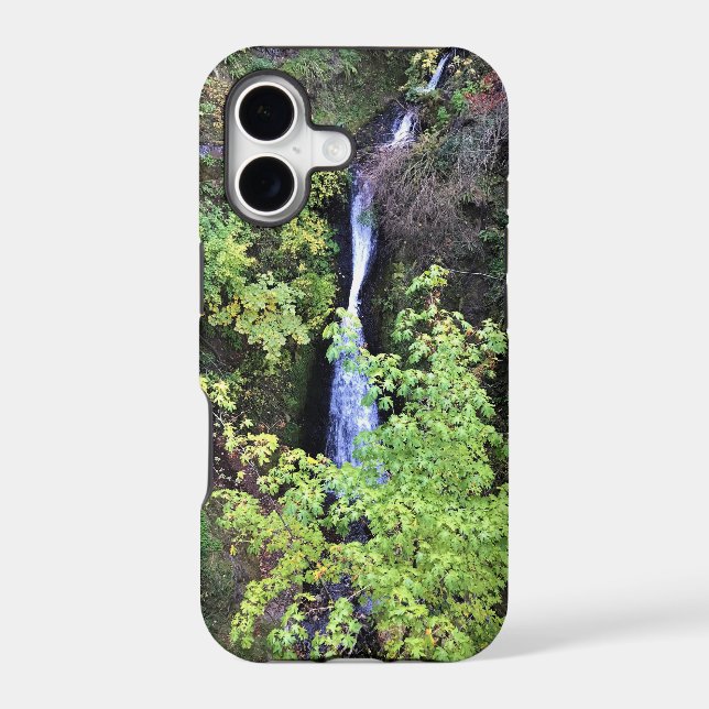 Shepperd's Dell Falls, OR (Back)