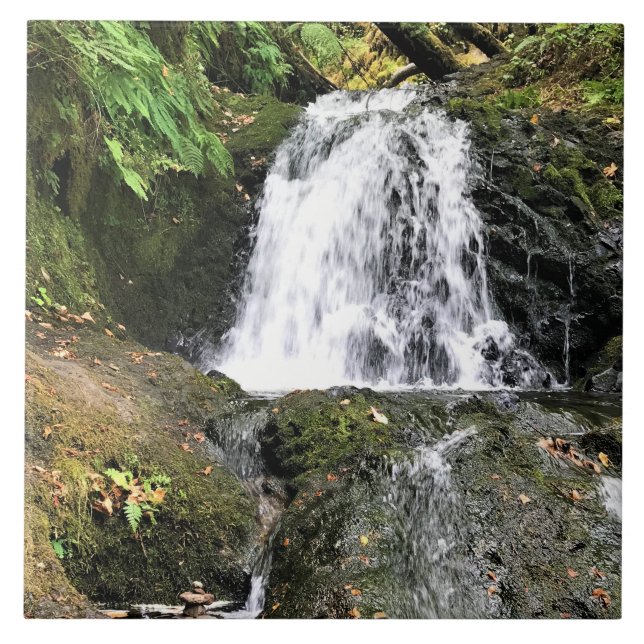 Shepperd's Dell Falls, OR Ceramic Tile (Front)