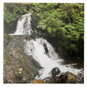 Shepperd's Dell Falls, OR Ceramic Tile