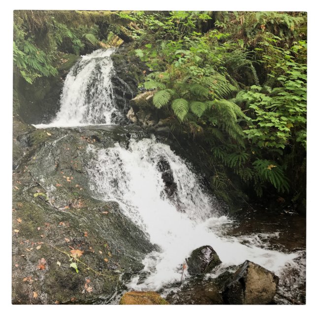 Shepperd's Dell Falls, OR Ceramic Tile (Front)