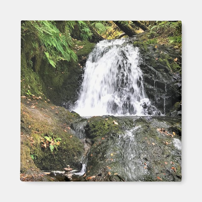 Shepperd's Dell Falls, Oregon Magnet (Front)