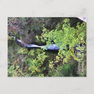 Shepperd's Dell Falls, Oregon Postcard