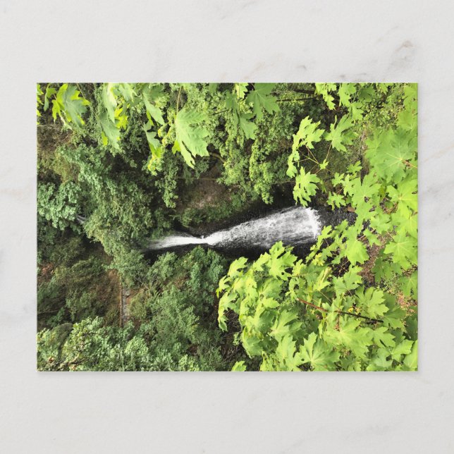 Shepperd's Dell Falls, Oregon Postcard (Front)