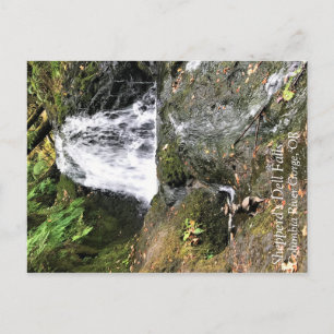 Shepperd's Dell Falls, Oregon Postcard