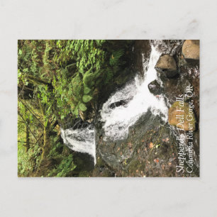 Shepperd's Dell Falls, Oregon Postcard
