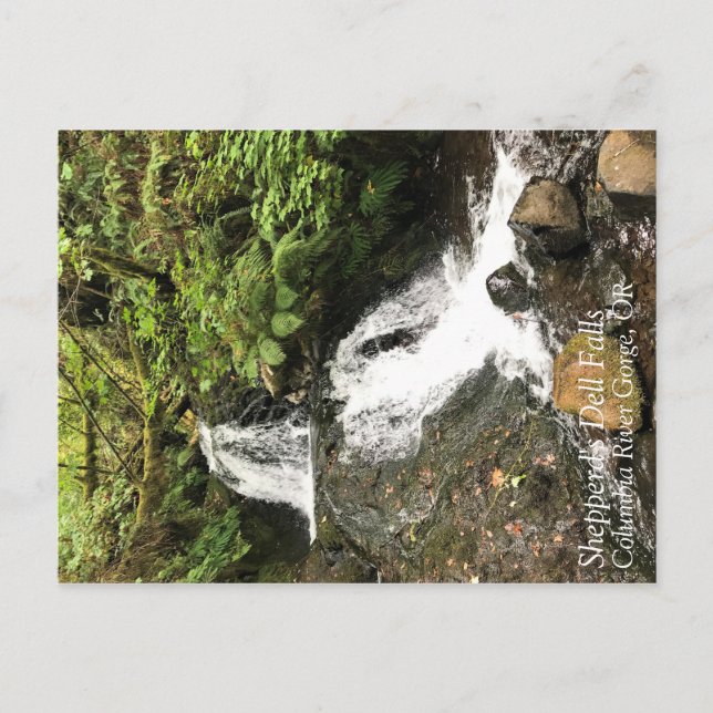 Shepperd's Dell Falls, Oregon Postcard (Front)