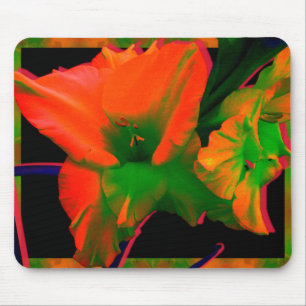 Sherbert Gladiolus Flowers Mouse Pad