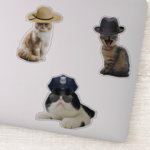 Sheriff Cat