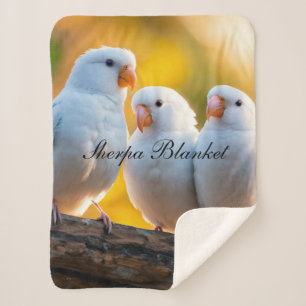Sherpa Blanket